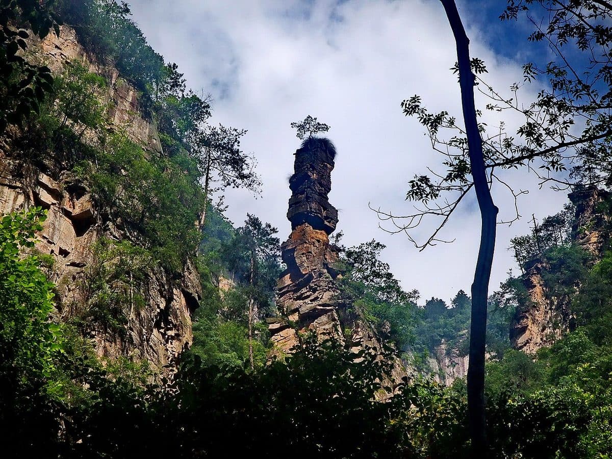 The Quiet Trail · Golden Whip Stream — 1