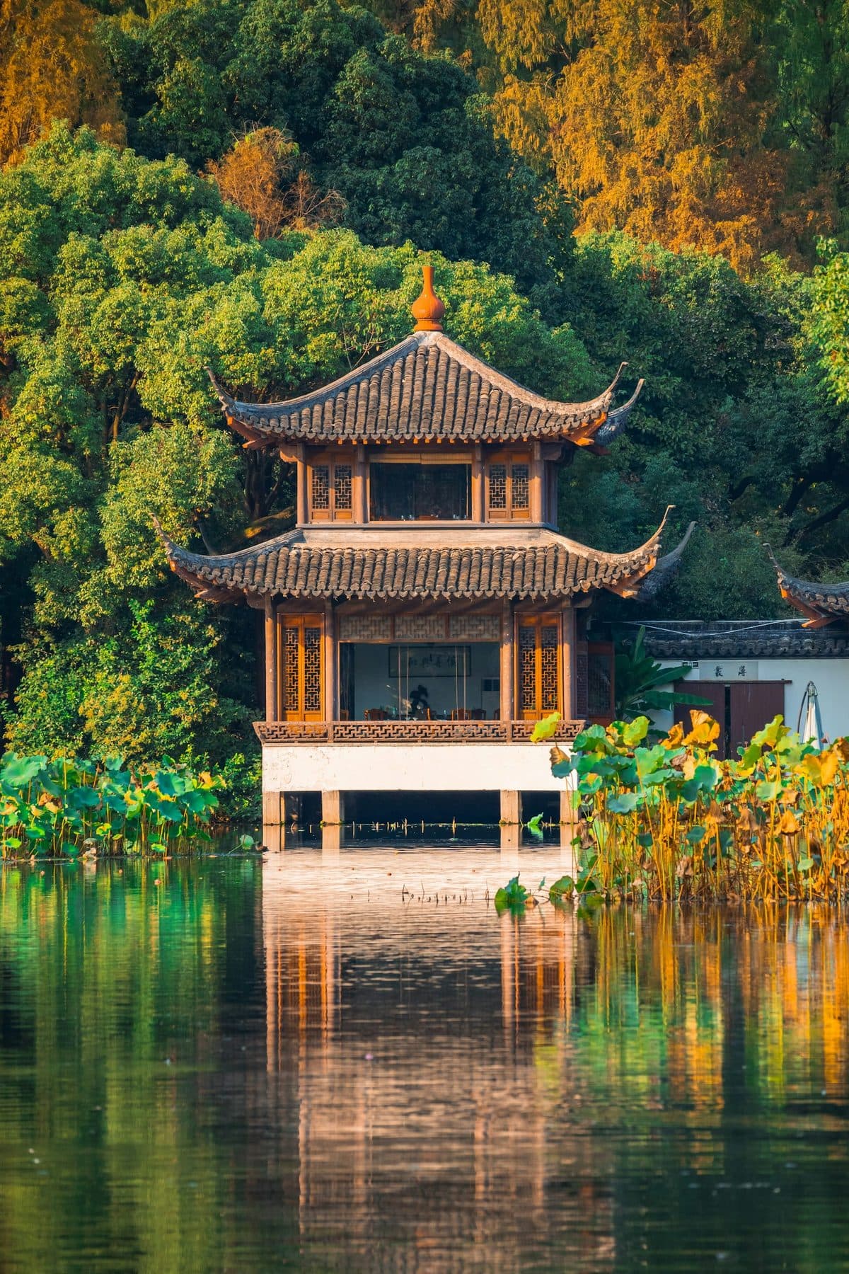 Hidden Waters · Xixi Wetland